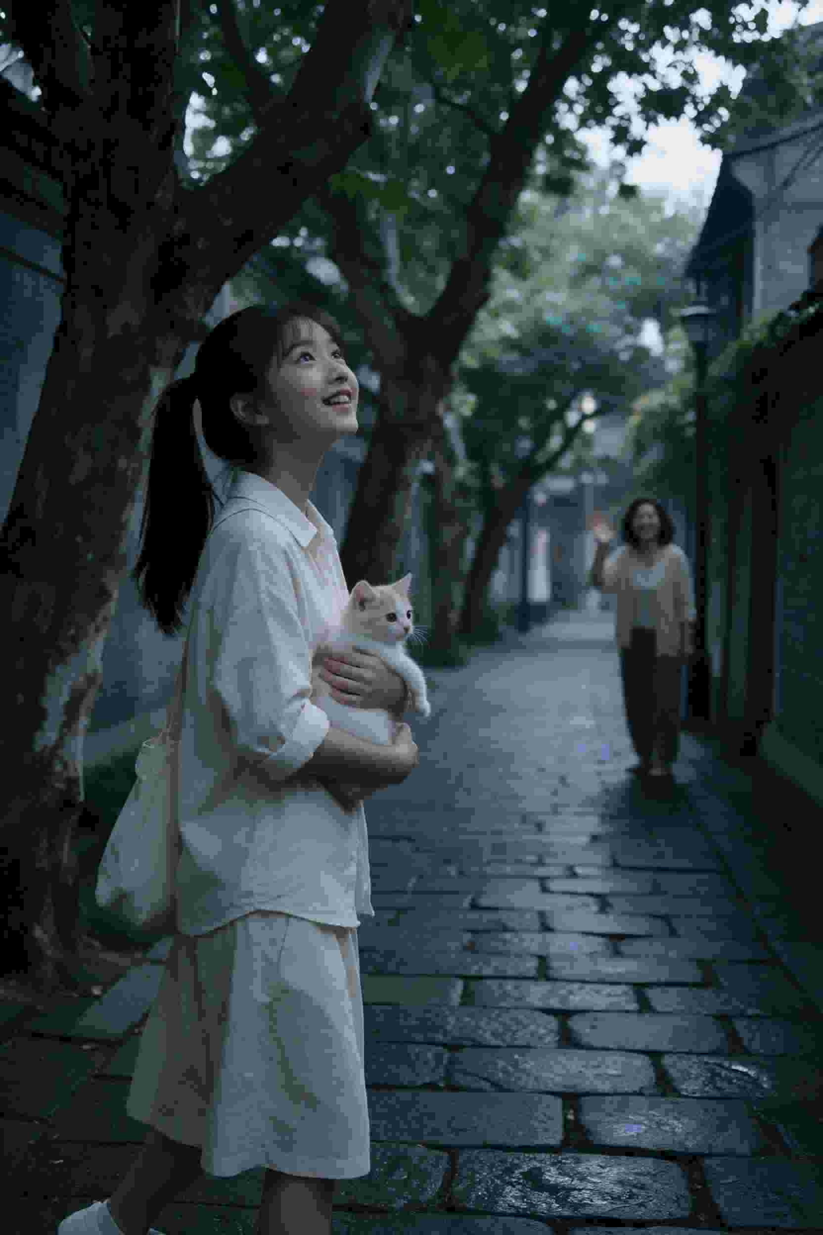 我与黑猫